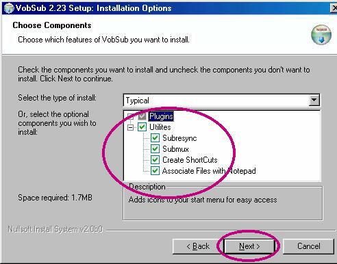 Smi To Wmv Converter