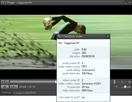 Download FLV Player