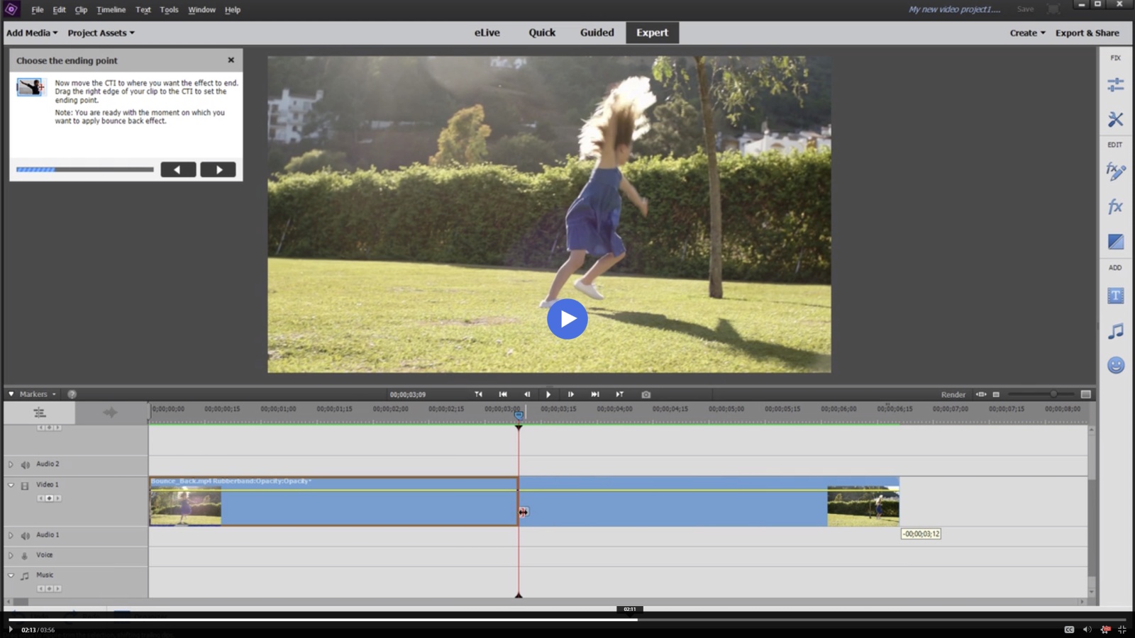 what is adobe premiere elements 2020