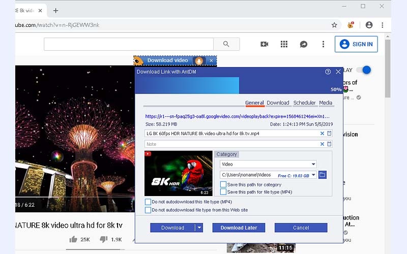 free ant video downloader for internet explorer