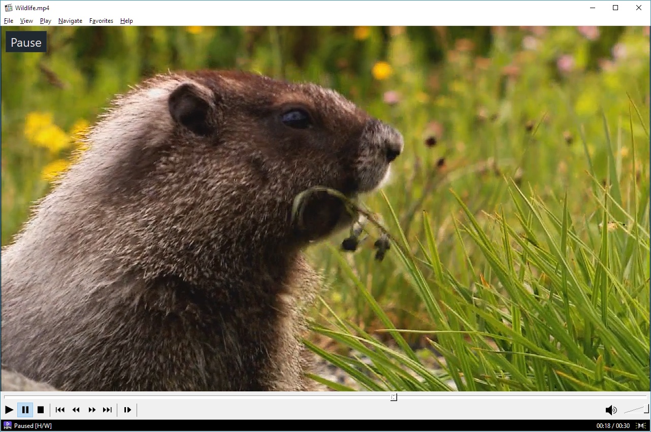 movie player for windows 7 64 bit movie player for windows 7 64 bit