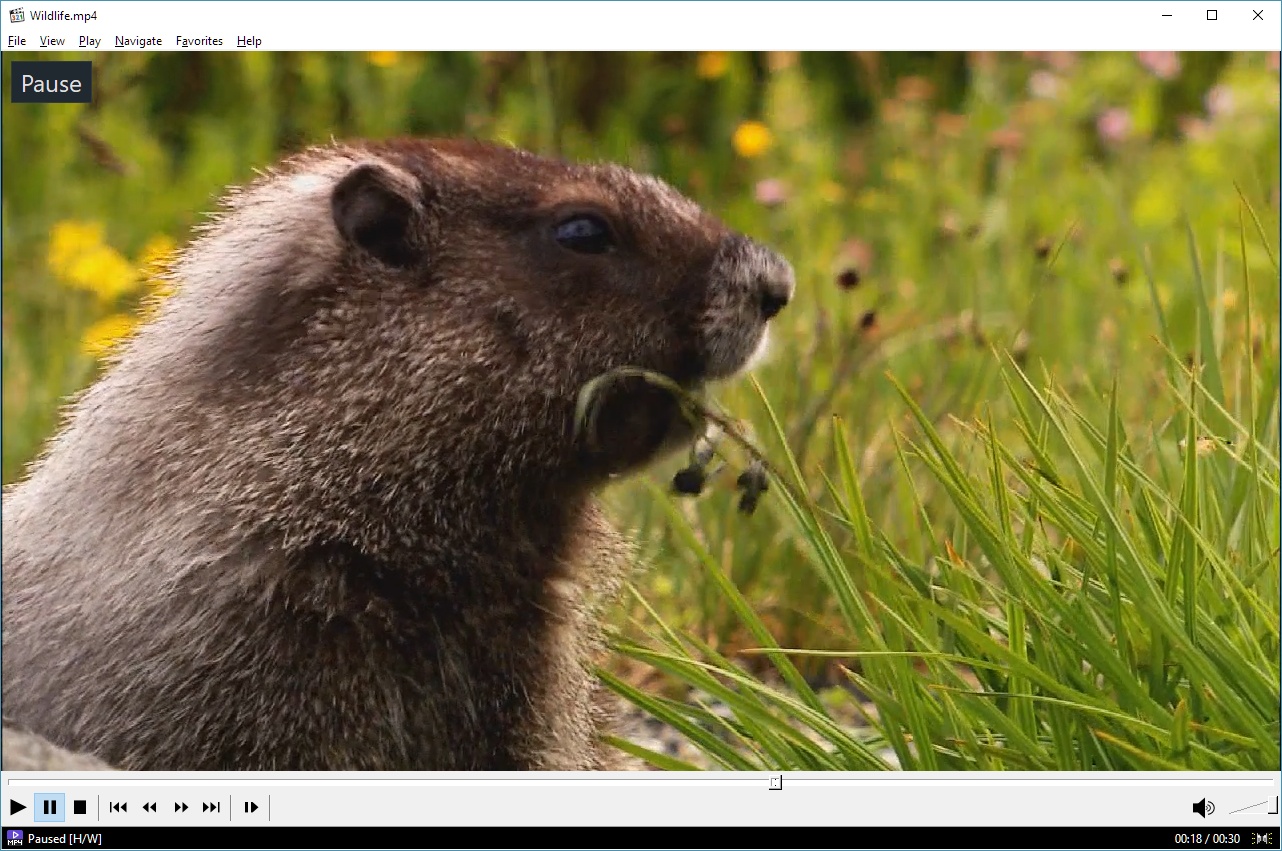 how to play hdr video media player clasic