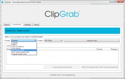 ClipGrab screenshot 3