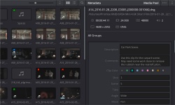 DaVinci Resolve screenshot 3
