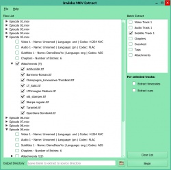 Inviska MKV Extract screenshot 2