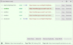 Live Stream Downloader screenshot 2