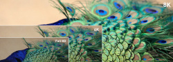 Magix Video Pro X screenshot 2