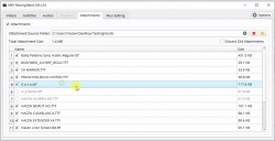 MKV Muxing Batch GUI screenshot 2