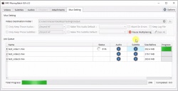 MKV Muxing Batch GUI screenshot 3