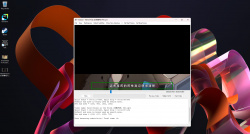 VidSubX screenshot 2