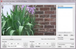 Visual AVCHD Time Stamp screenshot