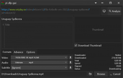 yt-dlp-gui screenshot 3